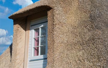 Colmslie thatch roof disadvantages