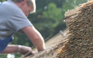 professional Colmslie thatchers